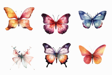 Fototapeta na wymiar Butterfly collection. Watercolor illustration. Colorful Butterflies clipart set. Pink blue butterfly. Baby shower design elements. Party invitation, birthday celebration. Spring or summer decoration