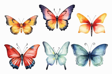 Fototapeta na wymiar Butterfly collection. Watercolor illustration. Colorful Butterflies clipart set. Pink blue butterfly. Baby shower design elements. Party invitation, birthday celebration. Spring or summer decoration
