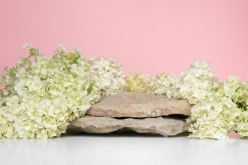 Stone Podium with flowering hydrangea branches for product presentation. Abstract minimal natural...