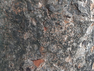 Texture of rough surface felled tree weathered with annual rings.Detailed warm dark brown and orange tones of a felled tree trunk or stump.vintage natural background with autumn leaves, trunk with ann