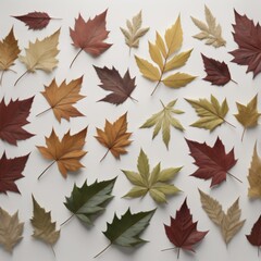 autumn leaves background
