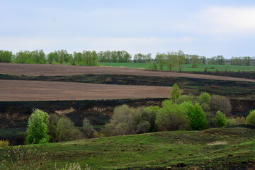 valley with hills after fire with burnt ground and cloudy sky copy space  