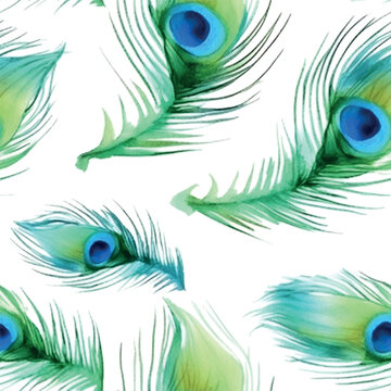 Beautiful pattern art illustration with colorful peacock feathers watercolor blue background.