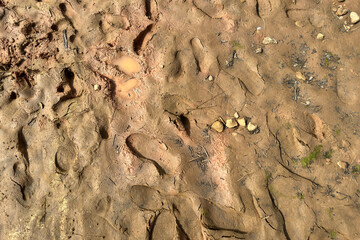 texture brown clay on the lake
