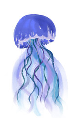 Jellyfish on a white background. Illustration.