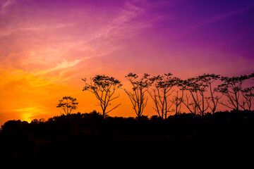 Fototapeta na wymiar silhouette of trees against the orange and purple sky at Ranu Manduro, Mojokerto, Indonesia.