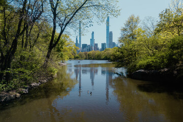 Fototapeta na wymiar Reflection of Buildings at Central Park