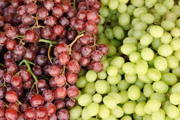 The green and red grape varieties as food background. grapes for wine production. Selective focus.