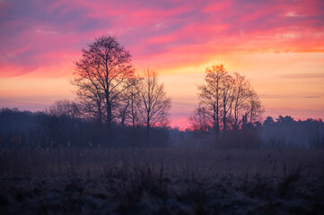 Fototapeta na wymiar Colorful sunrise over the forest
