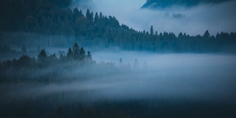 Misty morning in the mountains