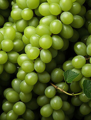 Green Grapes pattern  (Generative AI)