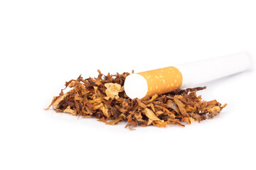 tobacco leaves cigarette butts isolated on white background