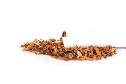 tobacco leaves cigarette butts isolated on white background