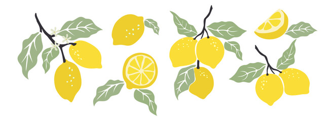 Hand drawn abstract lemons set. Collection of whole and cut lemons, branches, flowers and leaves vector illustrations isolated on transparent background. Fresh juicy citrus fruit.  - obrazy, fototapety, plakaty