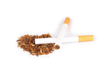 tobacco leaves cigarette butts isolated on white background