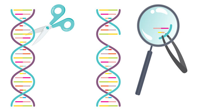 Gene editing double helix DNA concept vector illustration graphic
