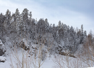 A frosty winter morning in a mountainous area with frozen nature and snow captivity.