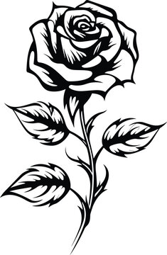 Rose sketch. Black outline on white background. Vector illustration isolated on white background
