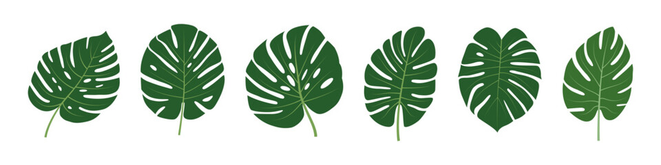 Tropical leaves collection. Vector isolated elements on the white background