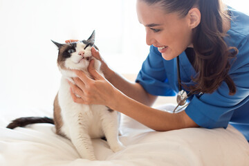 Veterinarian Doctor Woman Examining Cat's Teeth At Modern Veterinary Clinic