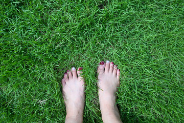 Barefoot on grass, earthing grounding energy, Alternative holistic healing with nature. Earthing...