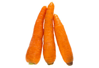 carrot isolated
