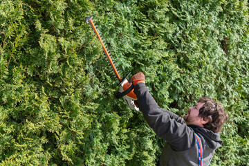 Naklejka na ściany i meble A Man trims the high hedges with an electric hedges trimmer. A property owner trimming the hedges.