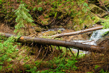 Waterfall cascade on mountain cliffs. Mountain waterfall in the mountains. Mountains Carpathians Ukraine