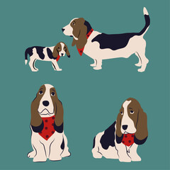 Cute animal cartoon vector set dog with clothes in diferent positions, scarf, Basset Hound, Hound