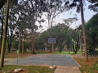 Multi-sport court in the middle of the forest.