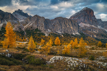 Autumn scenery with colorful larch trees in the Dolomites, Italy