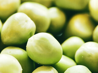 Harvest organic vegetables green peas.