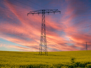 Power pole on a blooming rapeseed field