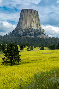 Summer road trip to Devil's Tower Wyoming National Monument