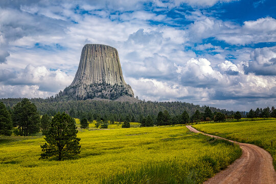 Summer road trip to Devil's Tower Wyoming National Monument
