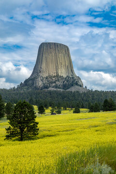 Summer road trip to Devil's Tower Wyoming National Monument