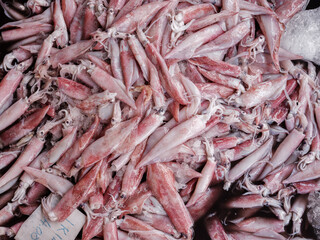 Raw squids sold at the local wet market