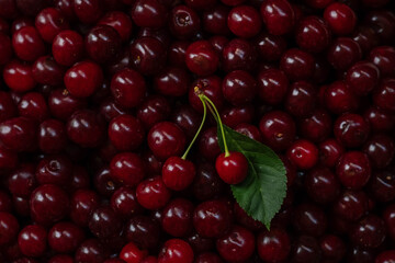 Blurred image of ripe cherries. Fruit background, top view.
