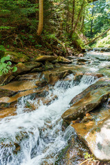 Mountain river in the forest among the rocks