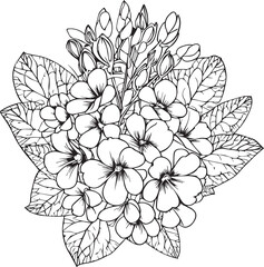 Primrose flower vector art, elements summer collection, hand-painted primrose coloring pages, vector sketch, pencil art primula flower, vintage floral design wildflowers with coloring book for adults,