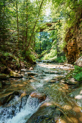 Mountain river in the forest among the rocks