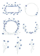 Kornblumen - cornflowers Aquarell Illustration