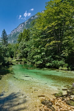 Sava Bohinjka river in Ukanc. Tributary of Lake Bohinj in Triglav national park in Slovenia. Absolutely pure mountain water. Famous turist location.
