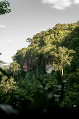 landscape with trees and mountains