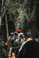group of people in the woods