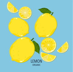 Lemon fruit illustration split oranges on a white background Seasonal fruits. Tropical. Isolated image, flat vector illustration.