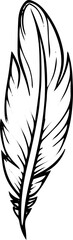 handdrawn vector illustration of feather, birds feather black and white vector digital sketch