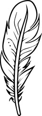handdrawn vector illustration of feather, birds feather black and white vector digital sketch