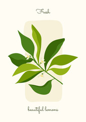 poster with twig and green leaves. fresh green sprig