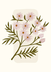 herbal poster with flowering plant. plant with many flowers